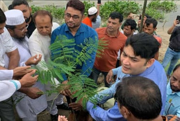 ব্রাহ্মণবাড়িয়ায় বৃক্ষরোপণ কর্মসূচি