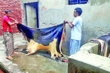 নাকাল চামড়াশিল্প