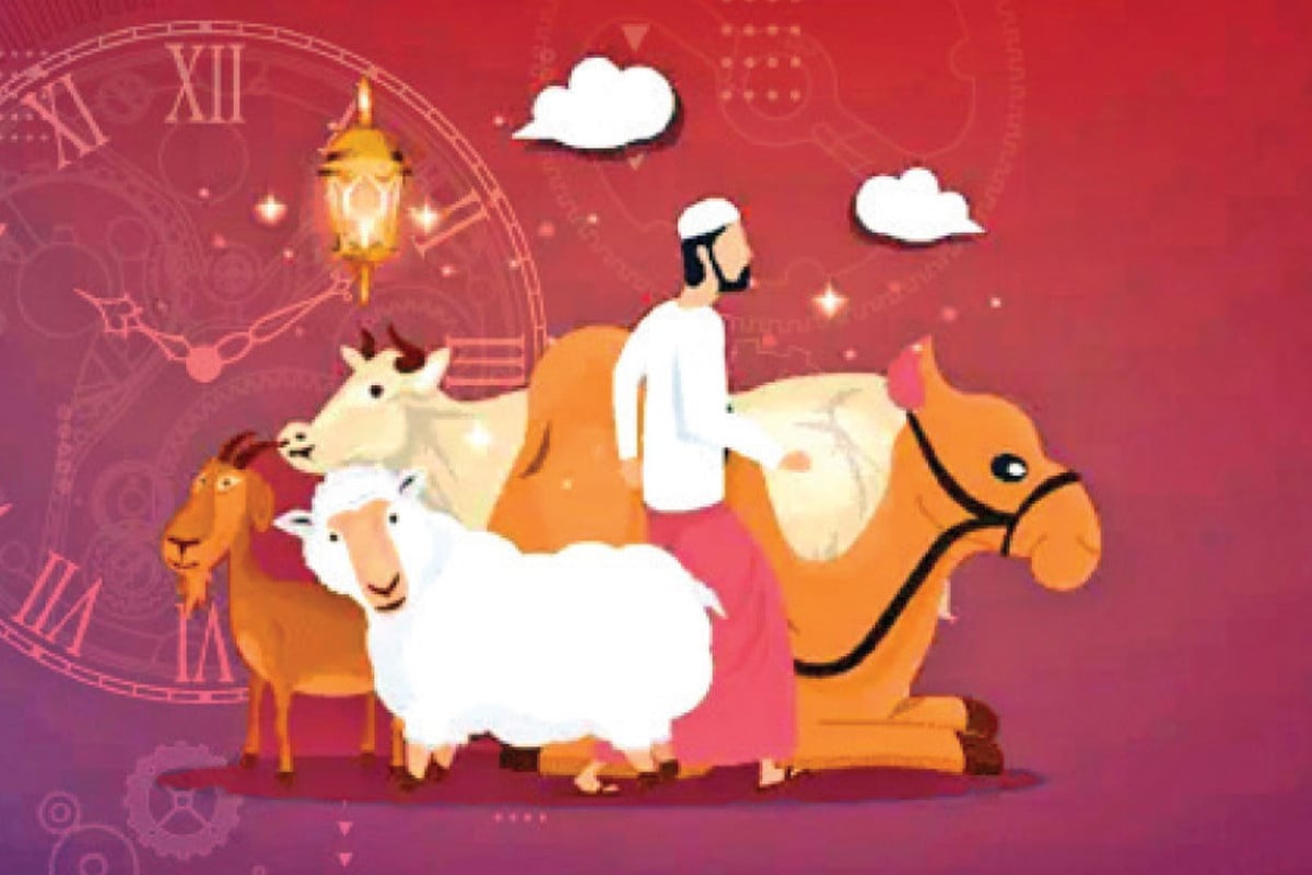 পশু কোরবানি কখন করব, কীভাবে করব