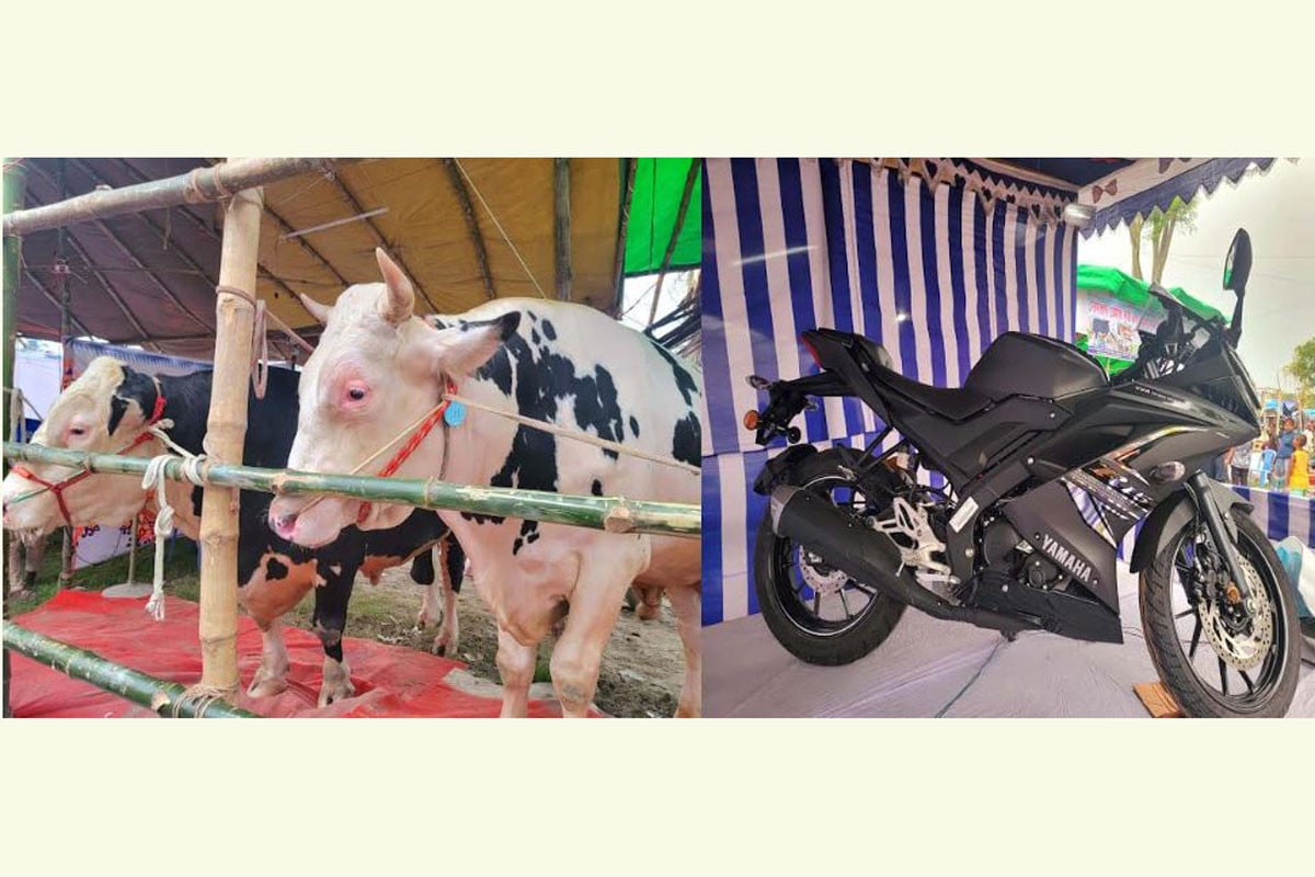 গরু কিনলেই সুযোগ “আর ওয়ান ফাইভ” জয়ের