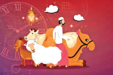 পশু কোরবানি কখন করব, কীভাবে করব