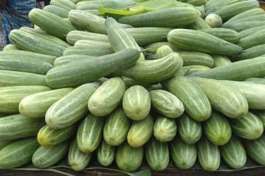 শসার দামে সেঞ্চুরি