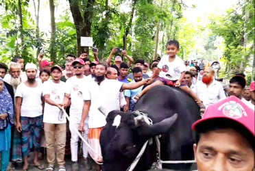 খালেদা জিয়াকে উপহার দিতে ‘কালো মানিক’ নিয়ে ঢাকার পথে কৃষক সোহাগ