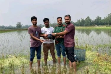 শিকার থেকে রক্ষা, প্রকৃতিতে ফিরল কালিম পাখি
