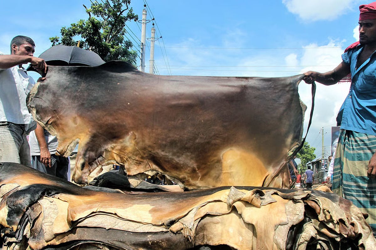 চামড়া বহন ও সংরক্ষণে বিসিকের নির্দেশনা