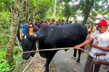 ‘আন্তরিকভাবে’ কালো মানিককে গ্রহণ করেছেন খালেদা জিয়া, চেয়েছেন দোয়া