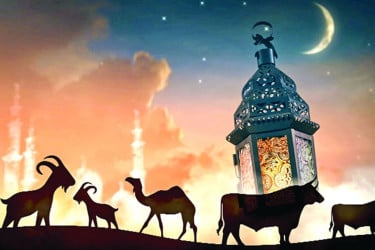 কোরবানির গুরুত্ব ও ফজিলত