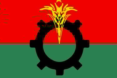 নির্বাচন নিয়ে প্রধান উপদেষ্টার ভাষণে প্রতিক্রিয়া জানাল বিএনপি
