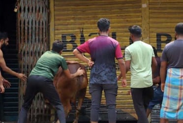 নগরজুড়ে পশু জবাই, পরিচ্ছন্নতায় প্রস্তুত ২০ হাজার কর্মী