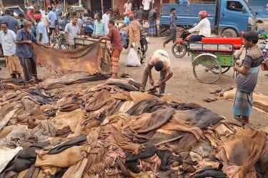 জয়পুরহাটে এবারও চামড়ার বাজারে ধস, হতাশ ব্যবসায়ীরা