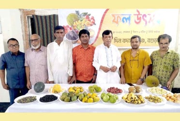 বগুড়ায় দিন বদলের মঞ্চের উদ্যোগে মৌসুমি ফল উৎসব