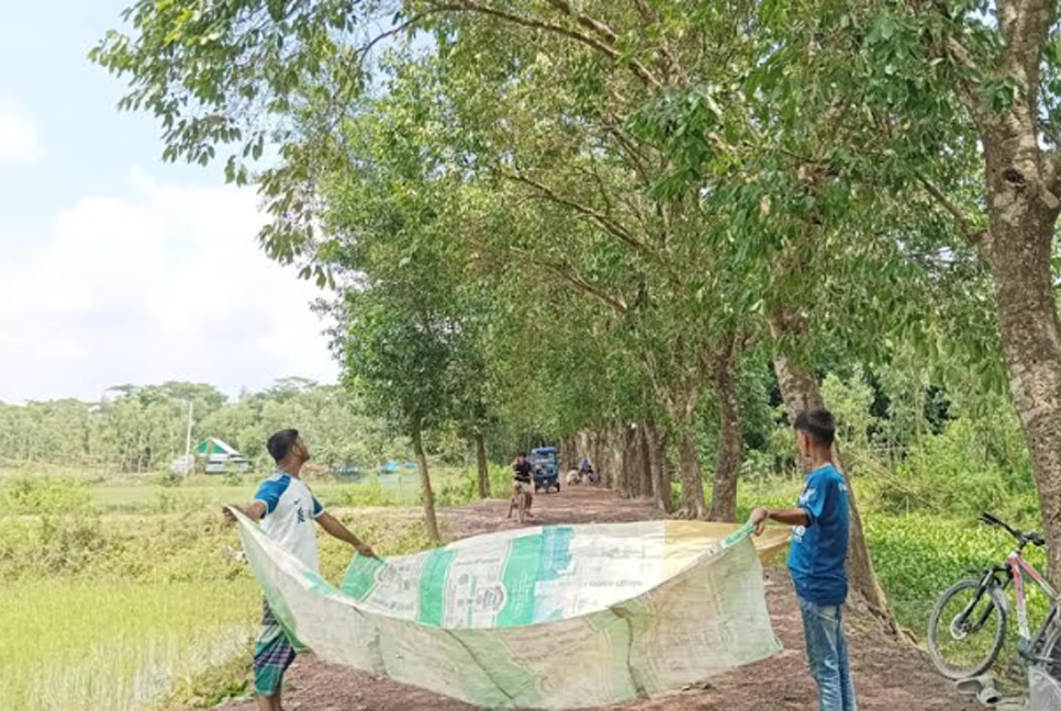 শতাধিক জামগাছ ঘিরে চিলুয়ায় উৎসবের আমেজ