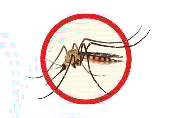 এক দিনেই হাসপাতালে ২৮৮ ডেঙ্গুরোগী