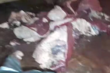 কালীগঞ্জে পচা মাংস বিক্রির অপরাধে ব্যবসায়ীর জেল