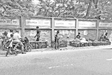 ভোগান্তিতে আম চাষিরা
