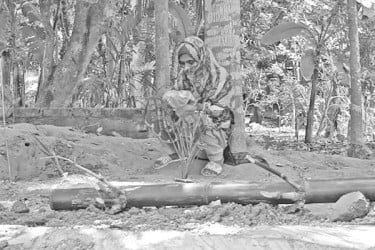 আতঙ্কের জনপদ সিংগাতি