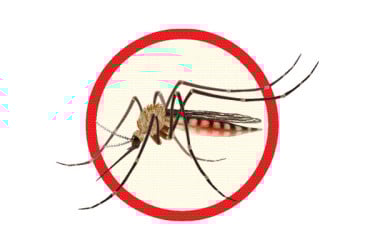 এক দিনেই হাসপাতালে ২৮৮ ডেঙ্গুরোগী