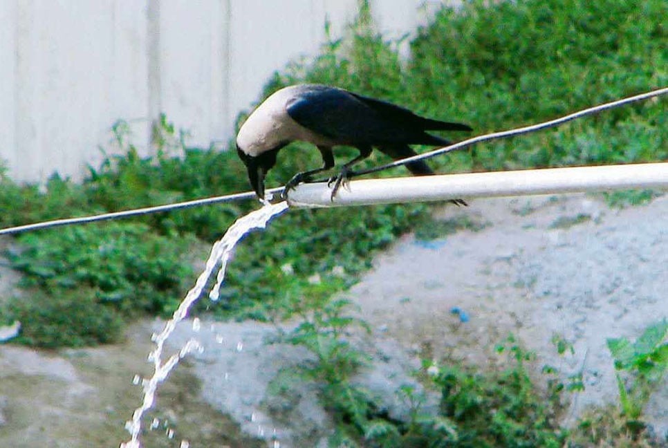 রাজশাহীতে বইছে মৃদু তাপপ্রবাহ, তাপমাত্রা ৩৭.৩ ডিগ্রি