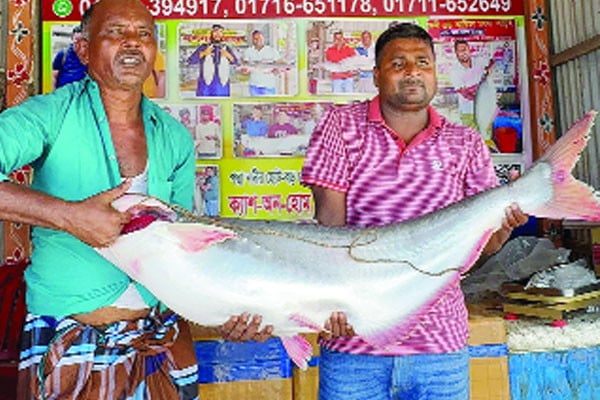 পাঙাশের দাম সাড়ে ২৮ হাজার টাকা