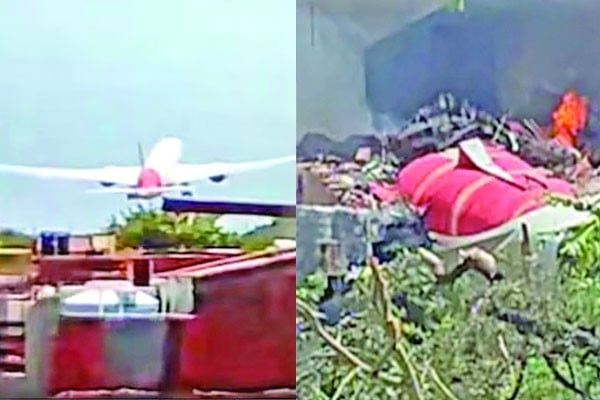 ভারতে বিমান বিধ্বস্তের সম্ভাব্য কারণ ‘পাখি’!