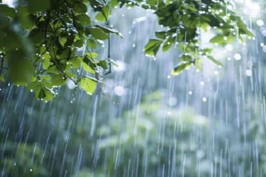 সারা দেশে বজ্রবৃষ্টির আভাস