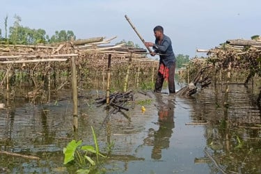 কুড়িগ্রামে বন্যায় ফসলের ব্যাপক ক্ষতি