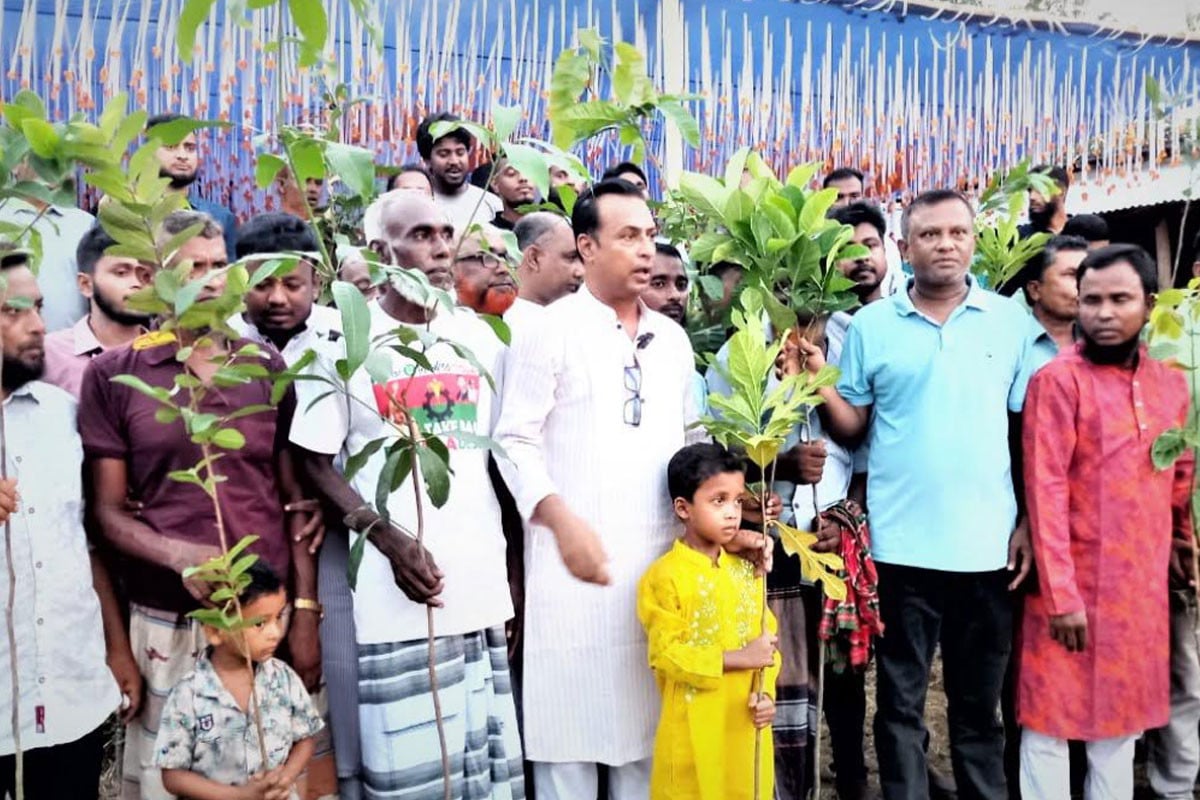 নওগাঁয় বিএনপির মাসব্যাপী বৃক্ষরোপণ কর্মসূচি