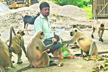 হনুমানের সঙ্গে সখ্য