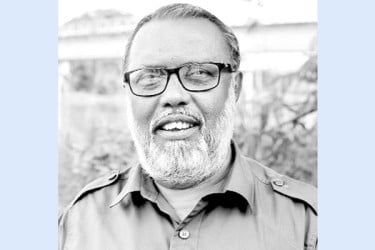 কেঁচো সারে কর্মসংস্থান