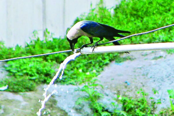 গরমে অস্থির জনজীবন, সর্বোচ্চ তাপমাত্রা ৩৭.২ ডিগ্রি