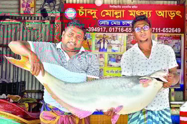পাঙাশের দাম ৩৫ হাজার টাকা