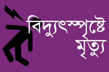 মাছ চুরি ঠেকাতে পুকুরপাড়ে বিদ্যুৎ, প্রাণ গেল পাহারাদারের