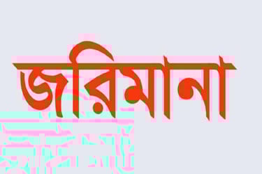 বরিশালে ভ্রাম্যমাণ আদালতের অভিযানে ১৪ দিনে কয়েক লাখ টাকা জরিমানা