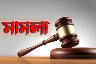 ভোলায় প্রতিবন্ধী কিশোরীকে ধর্ষণের অভিযোগ, মামলা