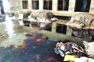 সরকারি পরিত্যক্ত ভবনে চামড়ার আড়ত, দুর্গন্ধে ভোগান্তি