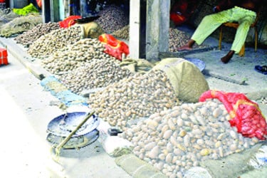 মাথায় হাত আলুচাষিদের