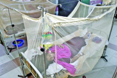ডেঙ্গুজ্বরে হাসপাতালে আরও ২৩৪ জন