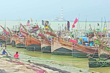 নিষেধাজ্ঞা শেষ, মিলছে না কাঙ্ক্ষিত মাছ