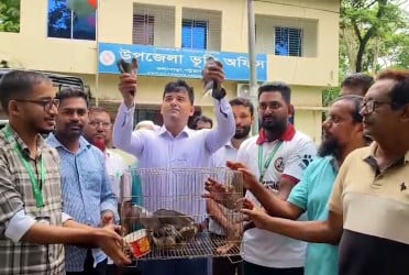 কলাপাড়ায় ১০ ঘুঘু পাখি অবমুক্ত