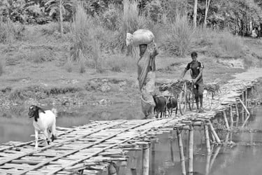 বাঁশের সাঁকোয় ঝুঁকি নিয়ে পারাপার