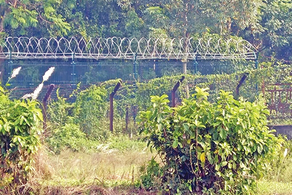 মহেশপুর সীমান্ত দিয়ে দুই দিনে ১৬ জনকে পুশইন