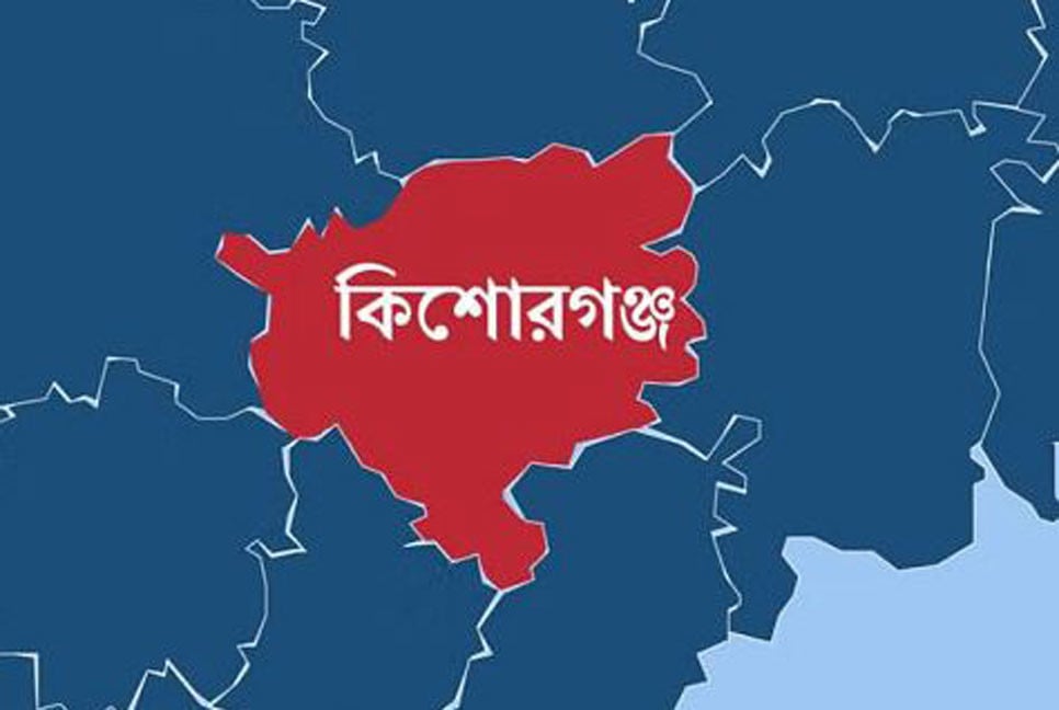 পাকুন্দিয়ায় বিএনপির দুই নেতাকে কুপিয়ে জখম