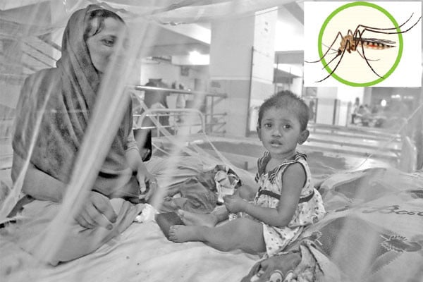 ডেঙ্গুর উচ্চঝুঁকিতে দুই সিটির ১৩ ওয়ার্ড