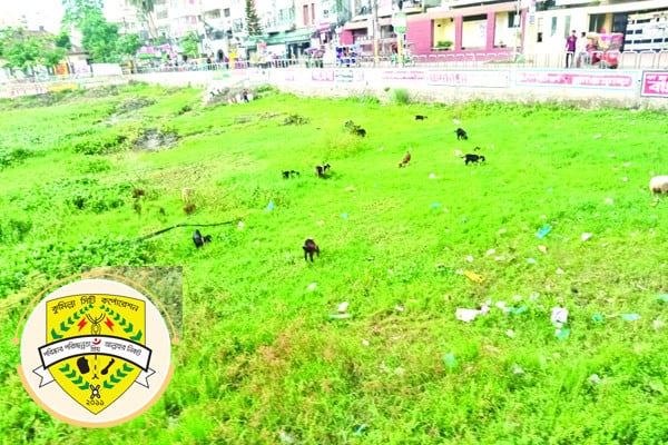 রানির দিঘিতে পানি নেই