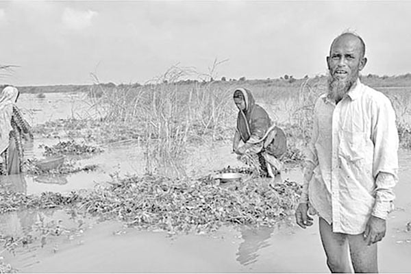 অকাল বন্যায় ক্ষতিগ্রস্ত চরাঞ্চলের বাদাম চাষিরা