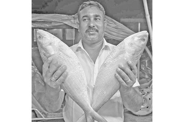 পদ্মার দুই ইলিশের দাম ১৪ হাজার