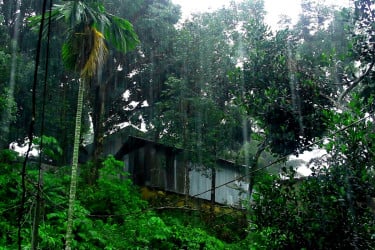 রাঙামাটিতে টানা বৃষ্টিতে আবারও পাহাড়ধসের শঙ্কা