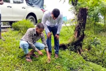কলাপাড়ায় বিষধর সাপ অবমুক্ত