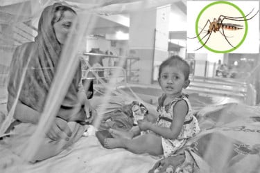 ডেঙ্গুর উচ্চঝুঁকিতে দুই সিটির ১৩ ওয়ার্ড