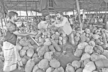 গাজীপুর থেকে কাঁঠাল কিনে পাইকারি দরে বিক্রি